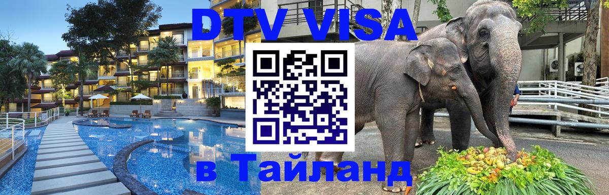 Сколько стоит DTV виза — актуальные цены, оформление даже без документов - Мехико  19.11.2025 