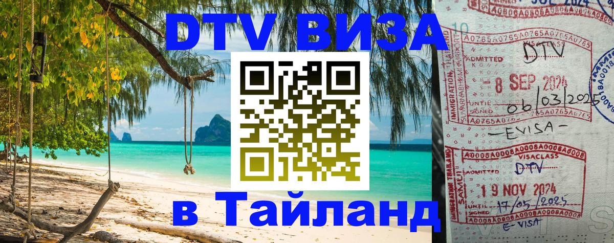 Оформление DTV визы под ключ: стоимость и тарифы, только загранпаспорт - 